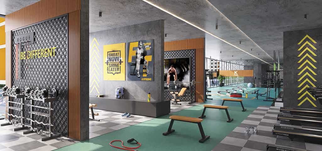 Gymnasium