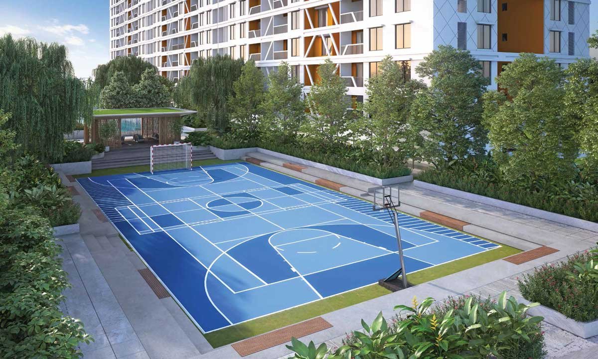 Basketball Court